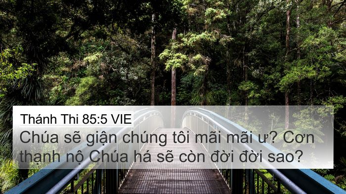 Thánh Thi 85:5 VIE Bible Verse Image