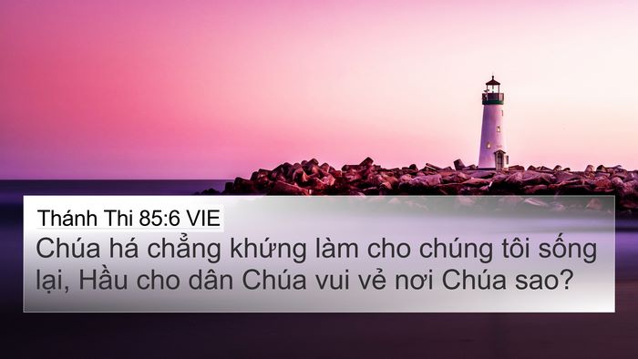 Thánh Thi 85:6 VIE Bible Verse Image