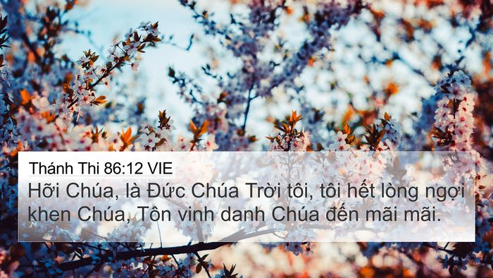 Thánh Thi 86:12 VIE Bible Verse Image