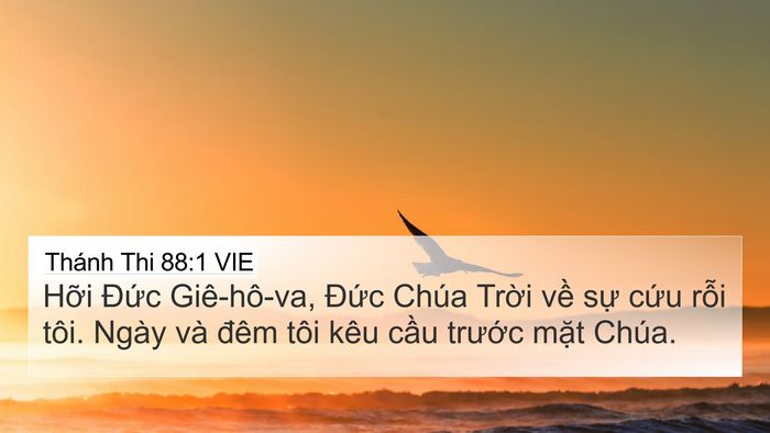 Thánh Thi 88:1 VIE 4K Wallpaper - Hỡi Đức Giê-hô-va, Đức Chúa Trời - 4K Wallpaper Bible Verse