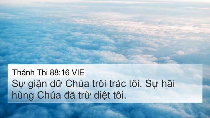 Thánh Thi 88:16 VIE Bible Verse Image
