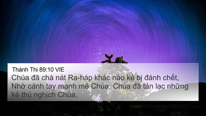 Thánh Thi 89:10 VIE Bible Verse Image