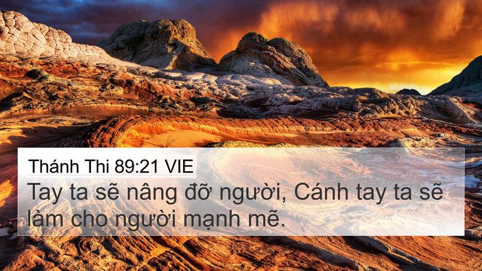 Thánh Thi 89:21 VIE Bible Verse Image