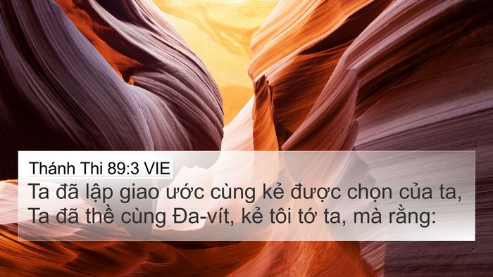 Thánh Thi 89:3 VIE Bible Verse Image