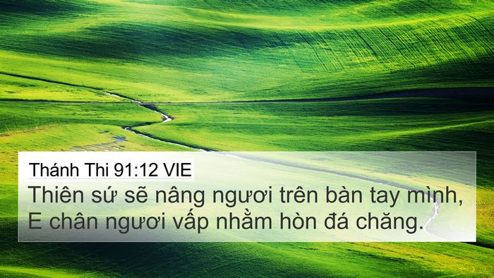 Thánh Thi 91:12 VIE Bible Verse Image