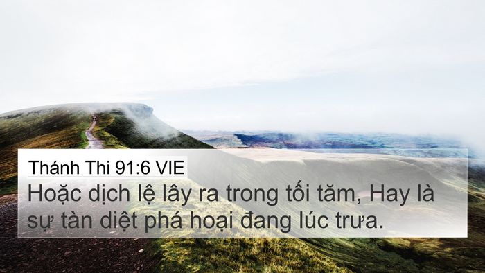 Thánh Thi 91:6 VIE Bible Verse Image