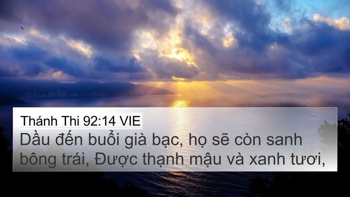 Thánh Thi 92:14 VIE Bible Verse Image