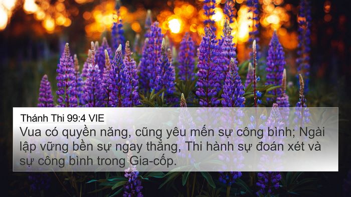 Thánh Thi 99:4 VIE Bible Verse Image