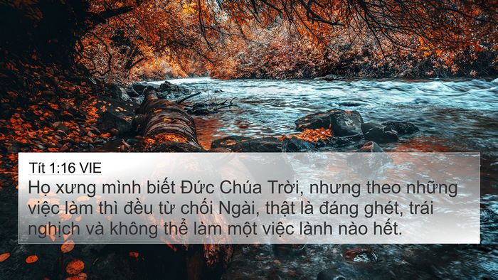 Tít 1:16 VIE Bible Verse Image