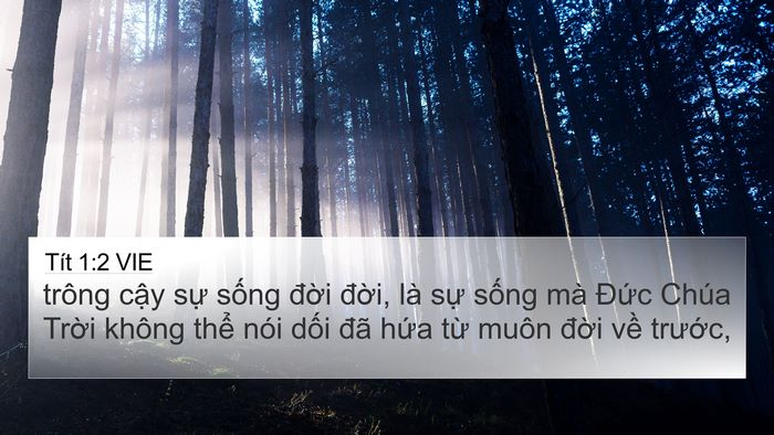 Tít 1:2 VIE Bible Verse Image