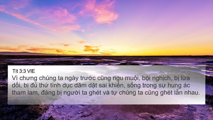 Tít 3:3 VIE Bible Verse Image
