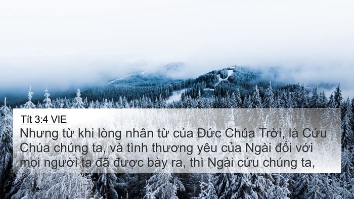 Tít 3:4 VIE Bible Verse Image