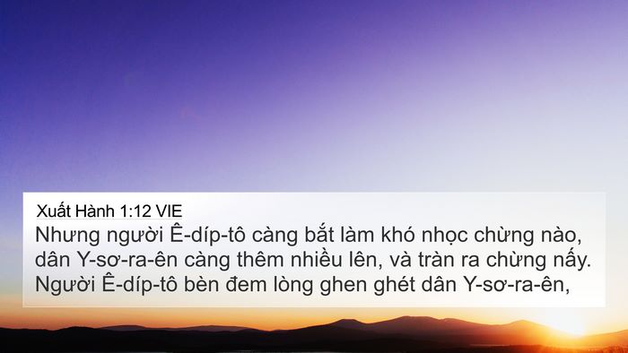 Xuất Hành 1:12 VIE Bible Verse Image