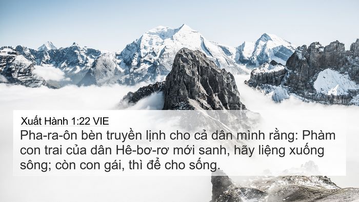 Xuất Hành 1:22 VIE Bible Verse Image