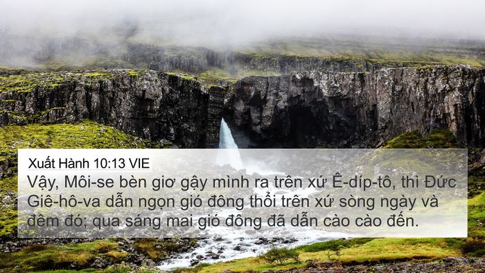 Xuất Hành 10:13 VIE Bible Verse Image