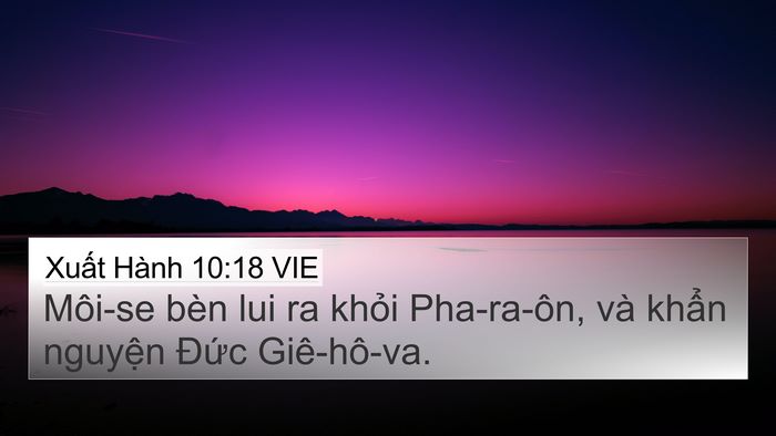 Xuất Hành 10:18 VIE Bible Verse Image
