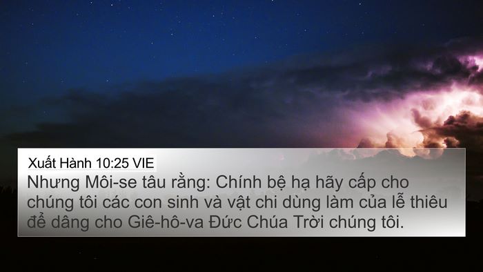 Xuất Hành 10:25 VIE 4K Wallpaper - Nhưng Môi-se tâu rằng: Chính bệ hạ hãy - 4K Wallpaper Bible Verse