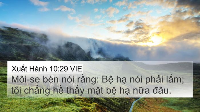 Xuất Hành 10:29 VIE Bible Verse Image