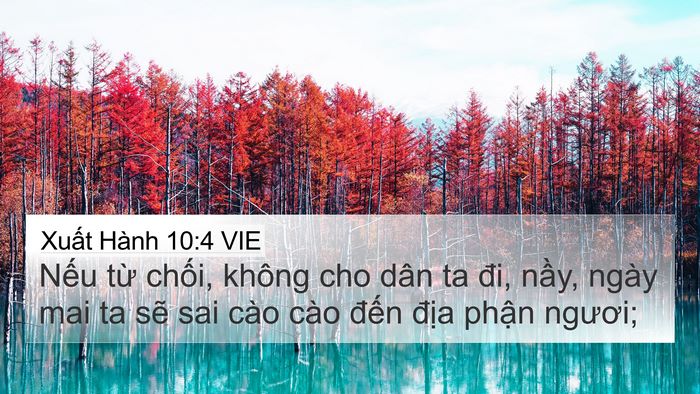 Xuất Hành 10:4 VIE Bible Verse Image