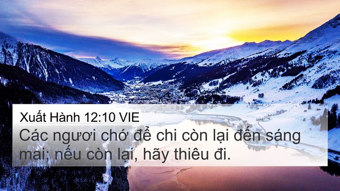 Xuất Hành 12:10 VIE Bible Verse Image