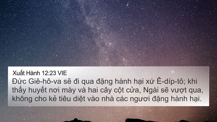 Xuất Hành 12:23 VIE Bible Verse Image