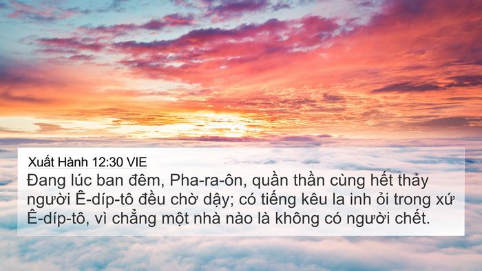 Xuất Hành 12:30 VIE Bible Verse Image