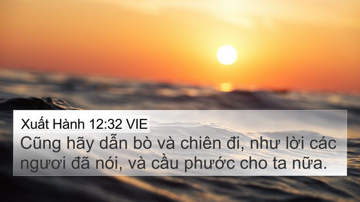 Xuất Hành 12:32 VIE Bible Verse Image