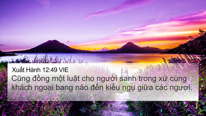 Xuất Hành 12:49 VIE Bible Verse Image