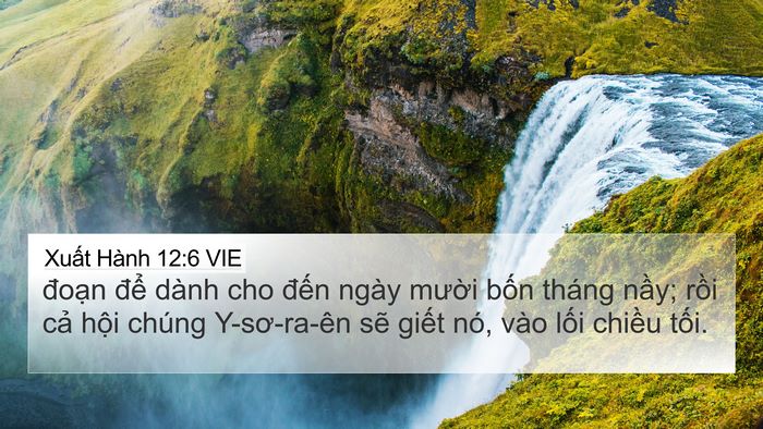Xuất Hành 12:6 VIE Bible Verse Image
