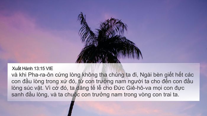 Xuất Hành 13:15 VIE Bible Verse Image