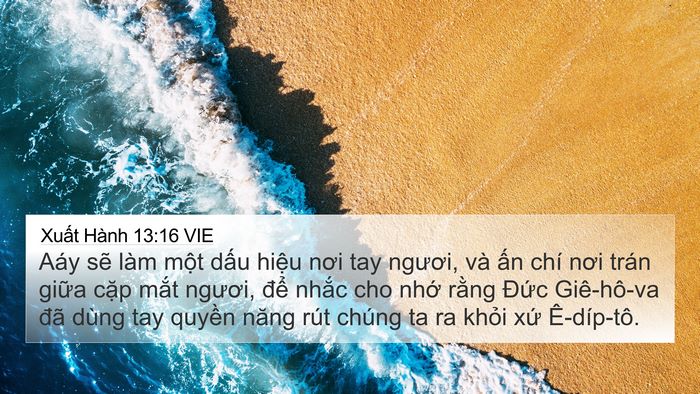 Xuất Hành 13:16 VIE Bible Verse Image