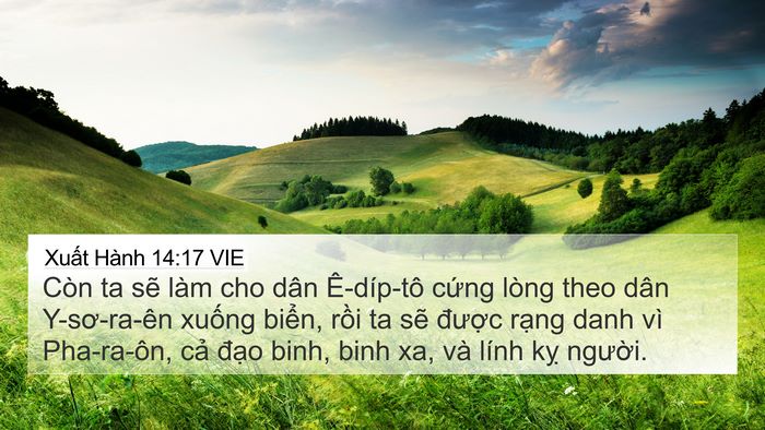 Xuất Hành 14:17 VIE Bible Verse Image