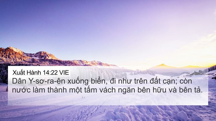 Xuất Hành 14:22 VIE Bible Verse Image
