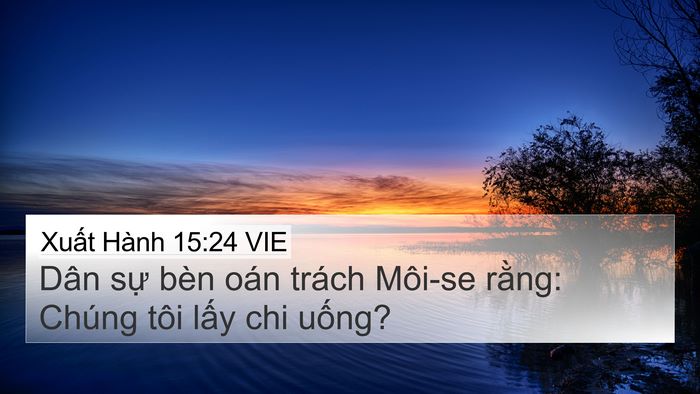 Xuất Hành 15:24 VIE Bible Verse Image