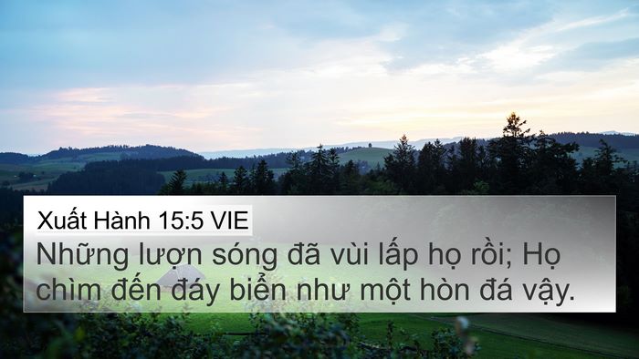 Xuất Hành 15:5 VIE Bible Verse Image