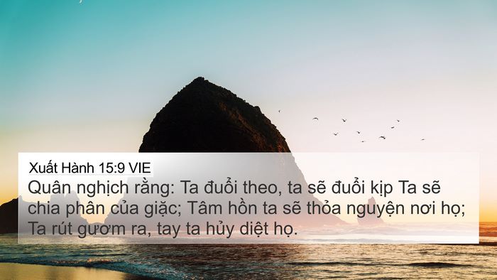 Xuất Hành 15:9 VIE Bible Verse Image