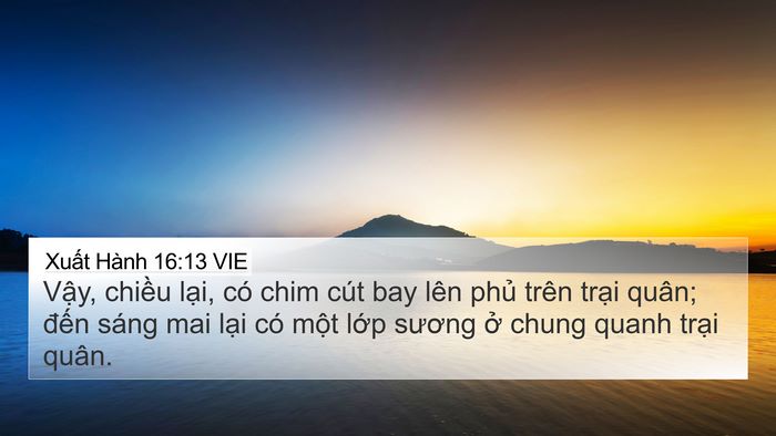 Xuất Hành 16:13 VIE Bible Verse Image