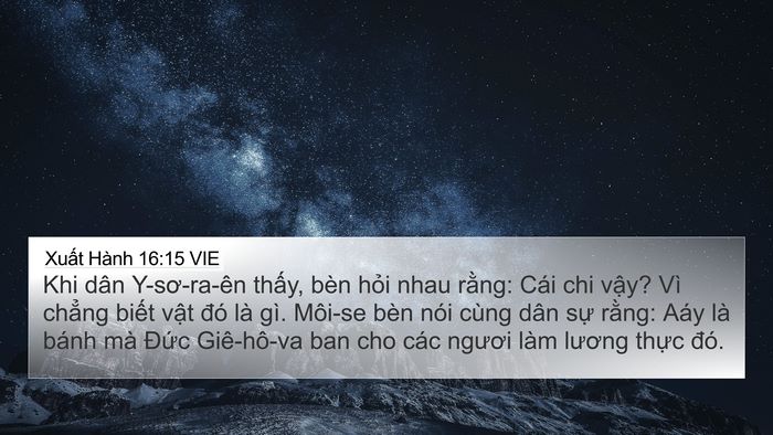 Xuất Hành 16:15 VIE Bible Verse Image