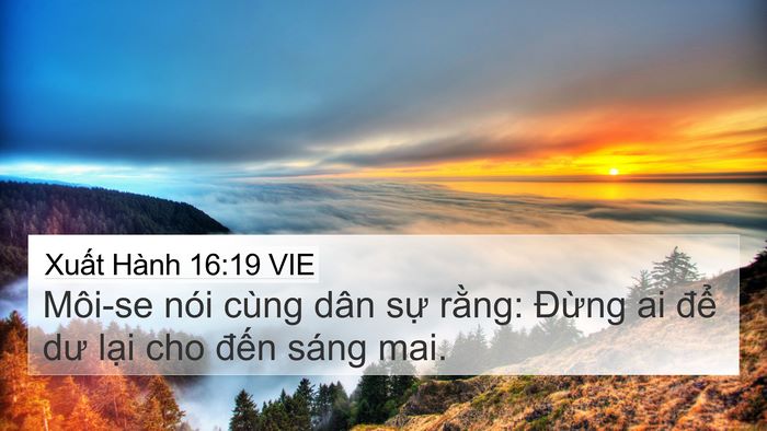 Xuất Hành 16:19 VIE Bible Verse Image
