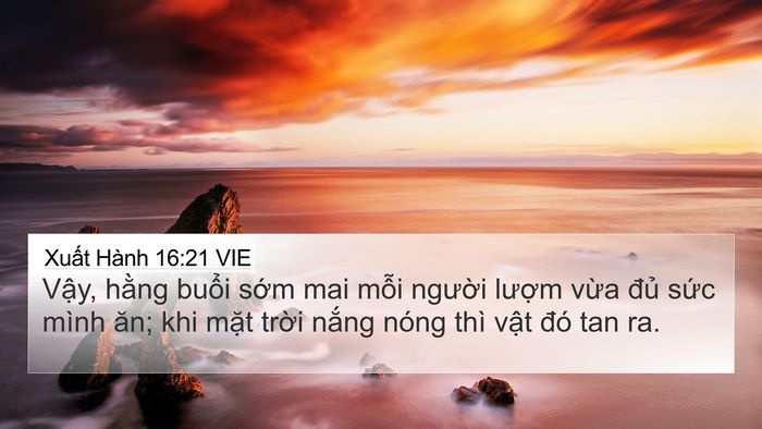 Xuất Hành 16:21 VIE 4K Wallpaper - Vậy, hằng buổi sớm mai mỗi người - 4K Wallpaper Bible Verse