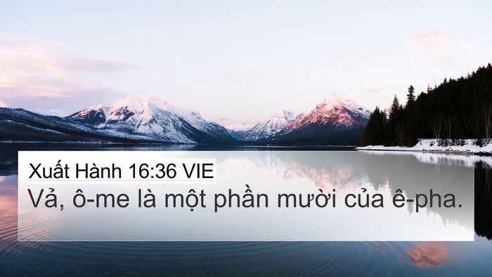 Xuất Hành 16:36 VIE Bible Verse Image