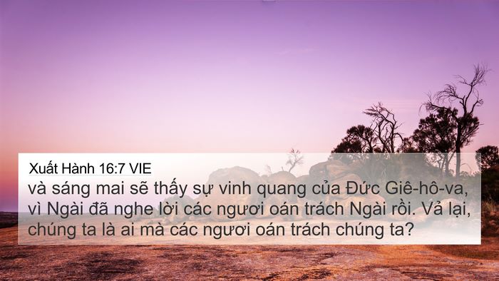 Xuất Hành 16:7 VIE Bible Verse Image