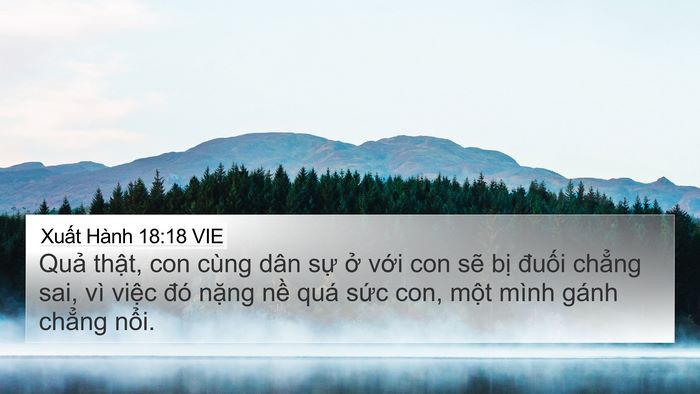 Xuất Hành 18:18 VIE Bible Verse Image