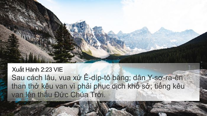 Xuất Hành 2:23 VIE Bible Verse Image