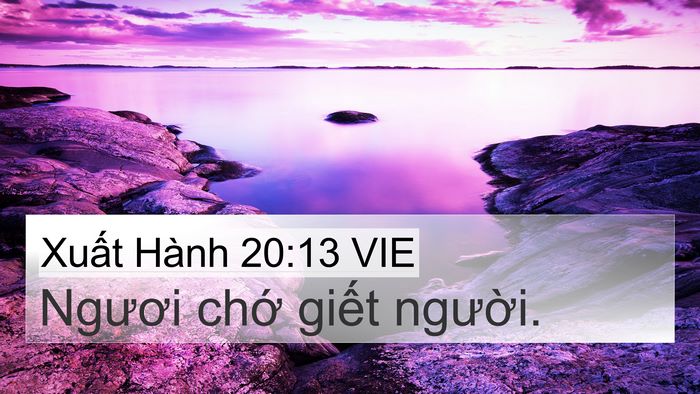 Xuất Hành 20:13 VIE Bible Verse Image