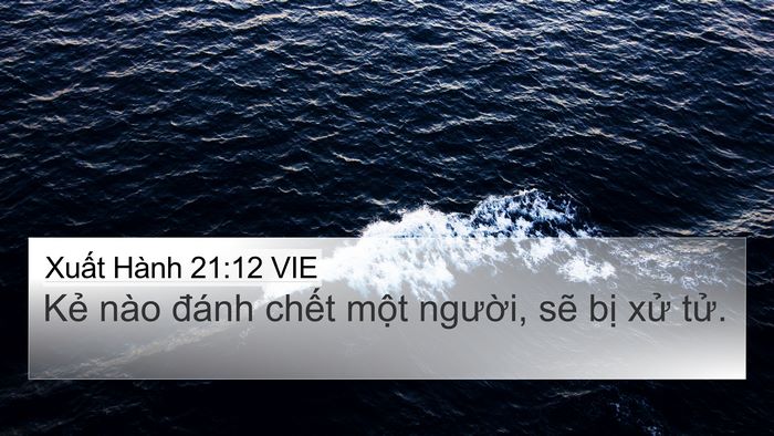 Xuất Hành 21:12 VIE Bible Verse Image