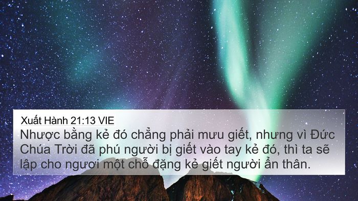 Xuất Hành 21:13 VIE Bible Verse Image