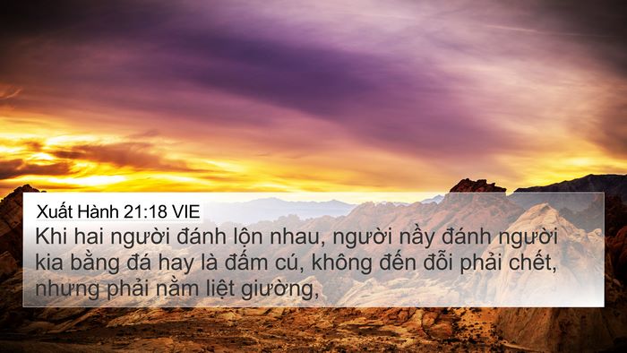 Xuất Hành 21:18 VIE Bible Verse Image