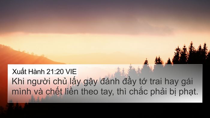 Xuất Hành 21:20 VIE Bible Verse Image