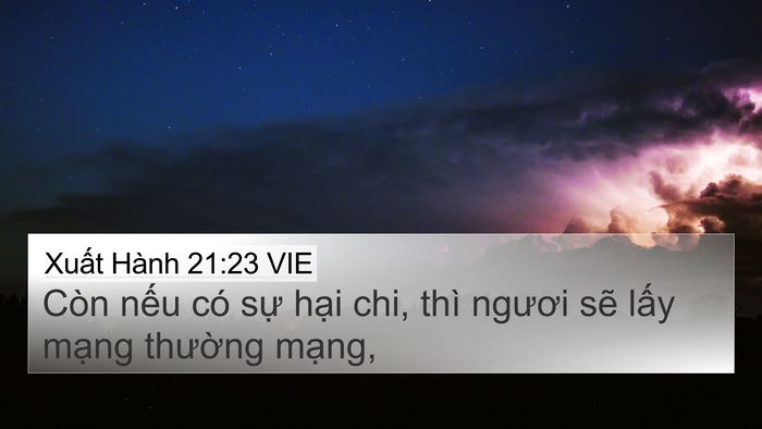 Xuất Hành 21:23 VIE Bible Verse Image